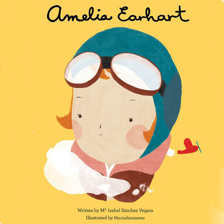 Amelia Earhart Children Book 