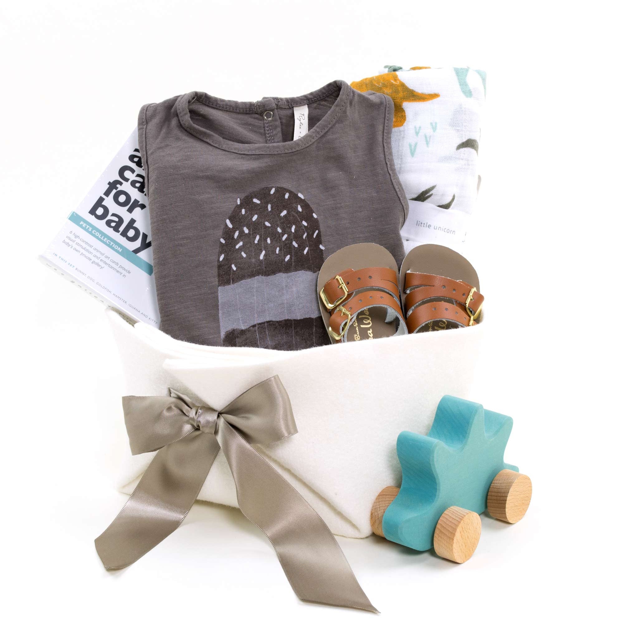 Rylee and Cru Popsicle Romper in a Baby Gift Basket