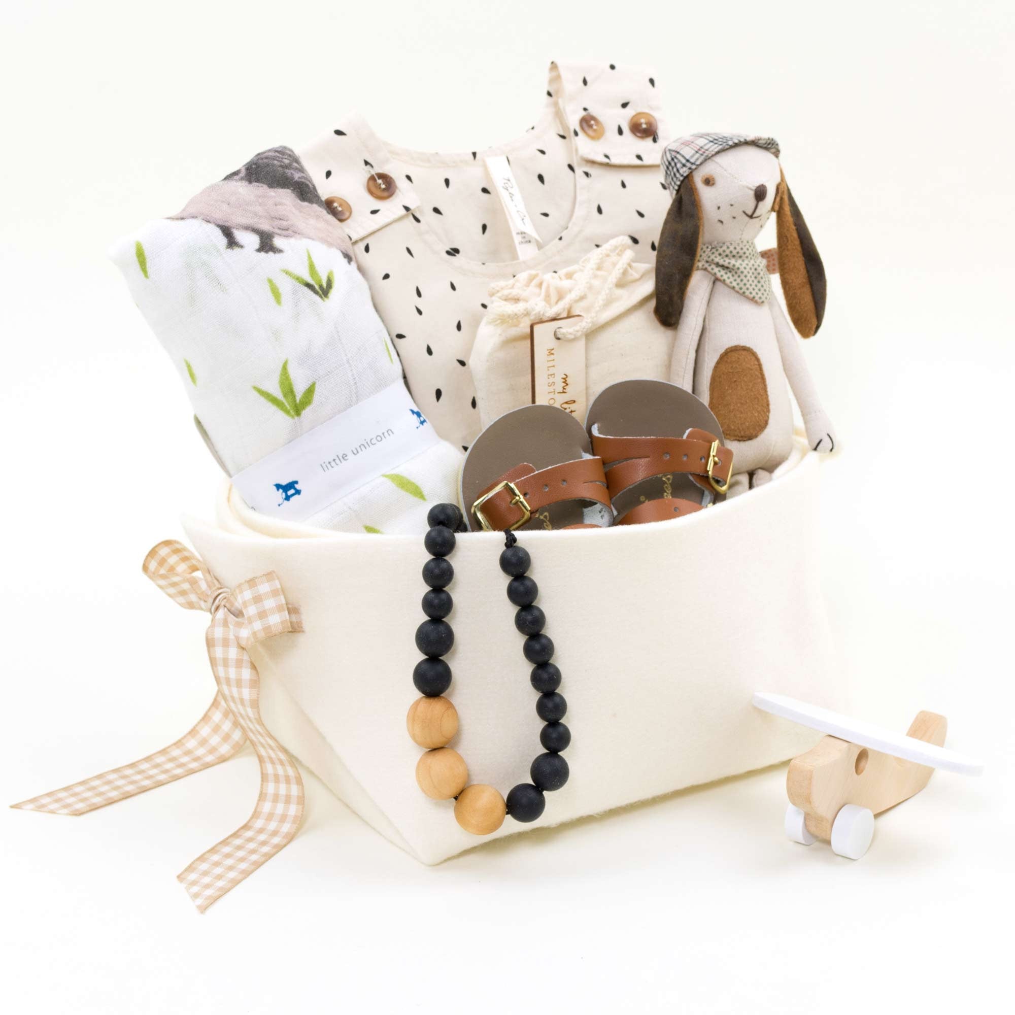 Rylee and Cru in Canada Baby Gift Basket