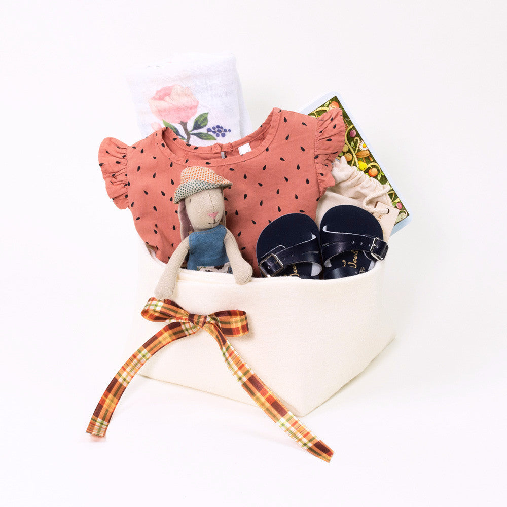 Adorable Baby Girl Gift Basket with Rylee and Cru Apple Seed Dress